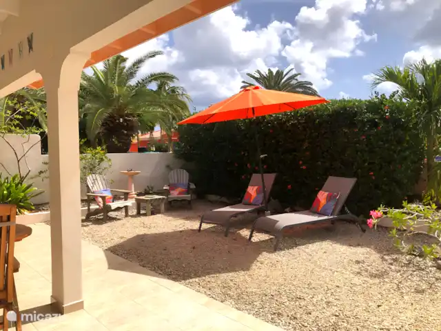 Kas Bonita | Bonaire, Bonaire, Kralendijk - bungalow Chaises papillon fines et chaises longues avec parasol.