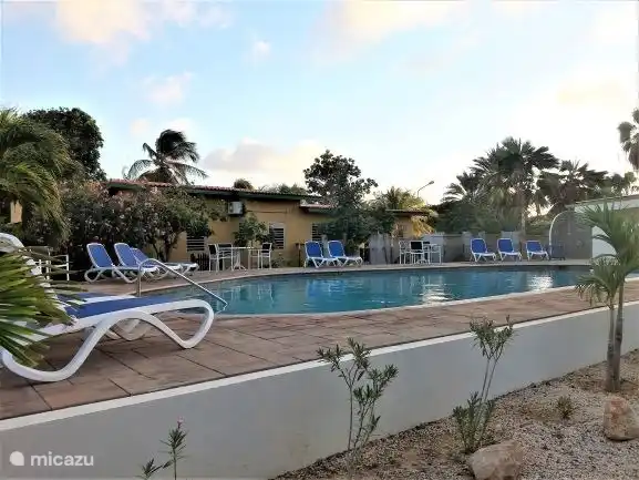 Het gemeenschappelijke zwembad op enkele stappen van de bungalow 