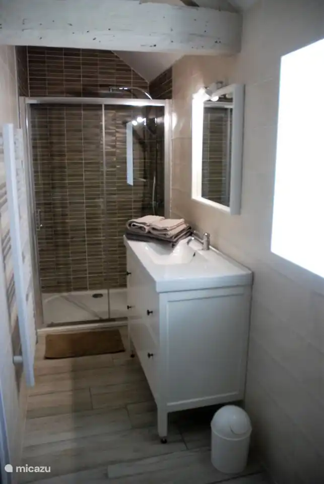 Badezimmer mit Dusche