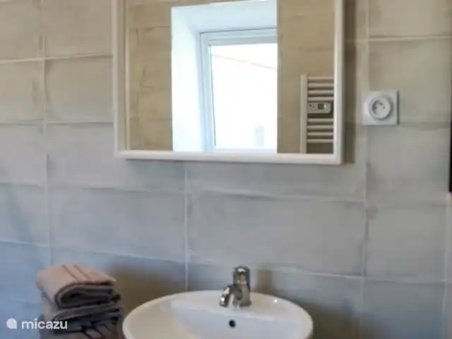 Cessilva | France, Dordogne, Sarlat-la-Canéda - maison de vacances Lavabo