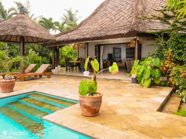 Villa Cahaya 2 chambres + bk piscine plage | Indonésie, Bali, Lovina - villa Belle terrasse avec parasols, transats assez d'espace pour se détendre.