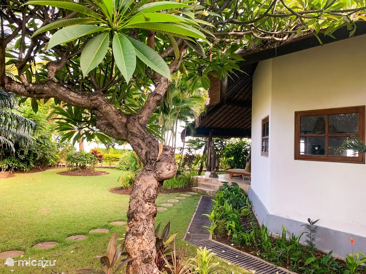 Großer tropischer Garten mit schönen Bäumen, Palmen und viel Obst.