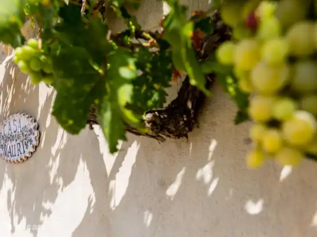 apartamento en España, Cataluña, Tremp – Casa Mauri - El Ático La uva.