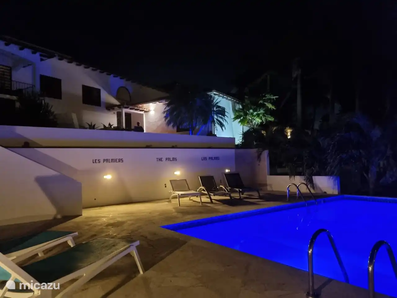 Les Palmiers by night