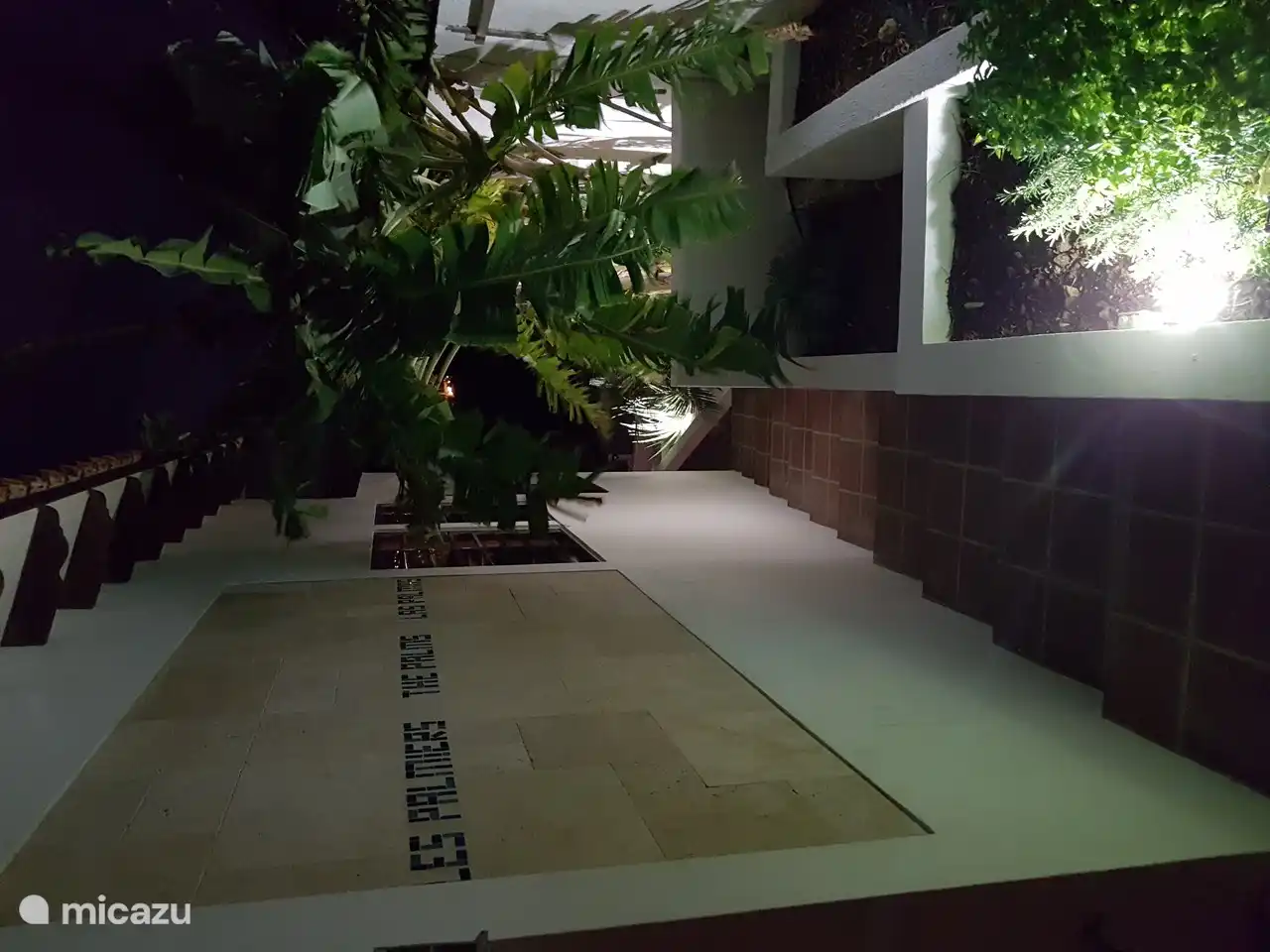 Tropische tuin bij nacht