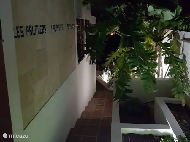 Les Palmiers | Curaçao, Banda Ariba (est), Jan Sofat - villa Jardin tropical la nuit