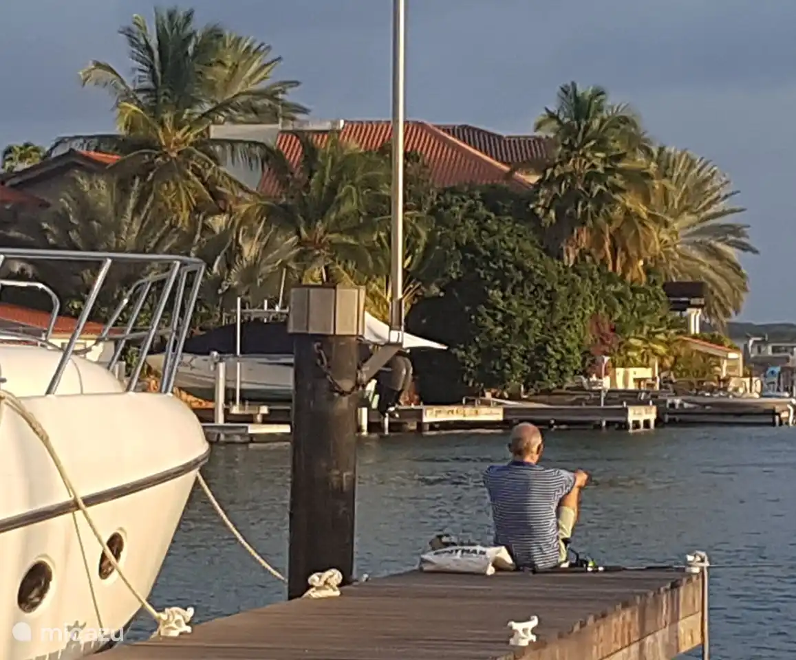 Leuke bootjes in Jan Sofat marina