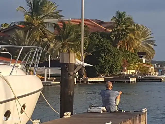Les Palmiers | Curaçao, Banda Ariba (est), Jan Sofat - villa Beaux bateaux dans la marina de Jan Sofat