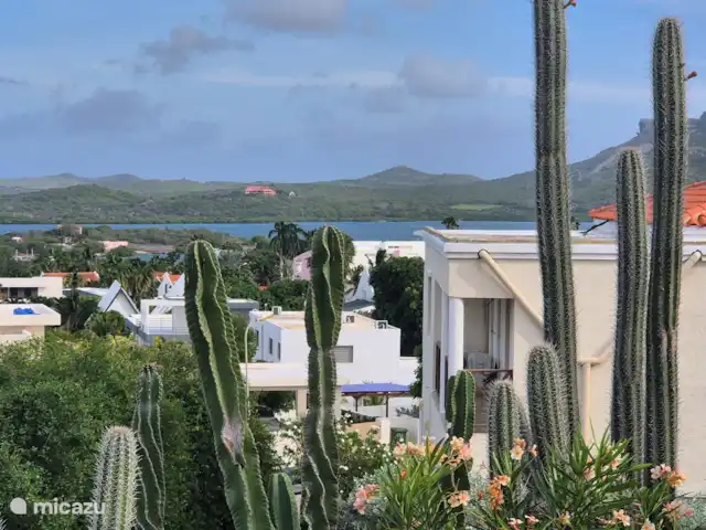 Les Palmiers | Curaçao, Banda Ariba (est), Jan Sofat - villa Vue sur « l’eau espagnole »