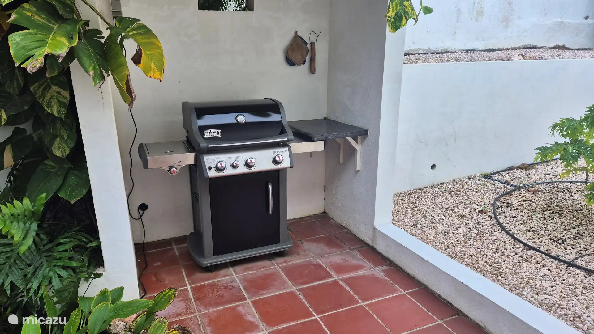 Nieuwe Weber Bq om al het lekkers te bereiden