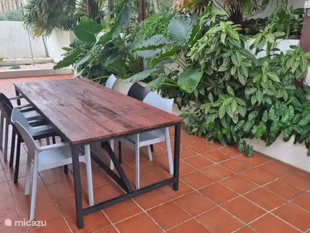 Les Palmiers | Curaçao, Banda Ariba (est), Jan Sofat - villa La terrasse arrière est également un endroit merveilleux.