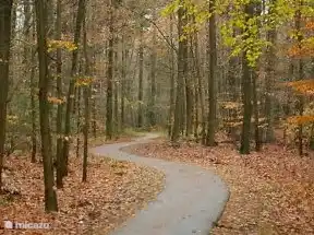 Belles pistes cyclables