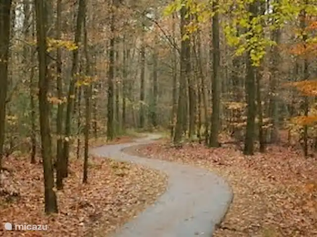Leeuwerik huren in Nederland, Friesland, Oudemirdum - bungalow Prachtige fietspaden