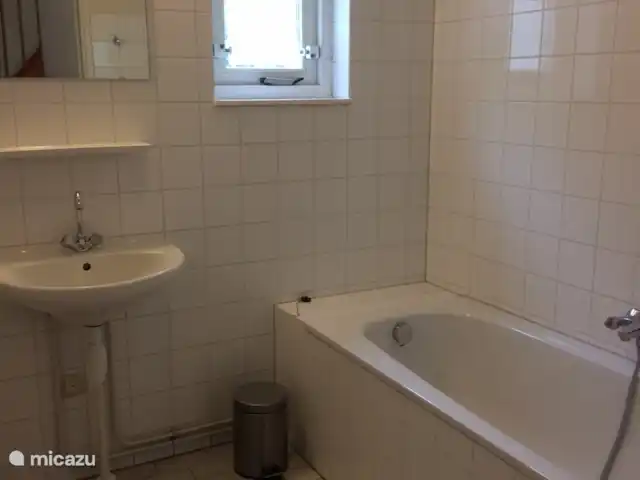 Leeuwerik huren in Nederland, Friesland, Oudemirdum - bungalow Badkamer met douchehoek en ligbad