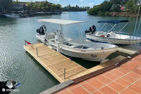 Les excursions en bateau conviennent également aux plongeurs