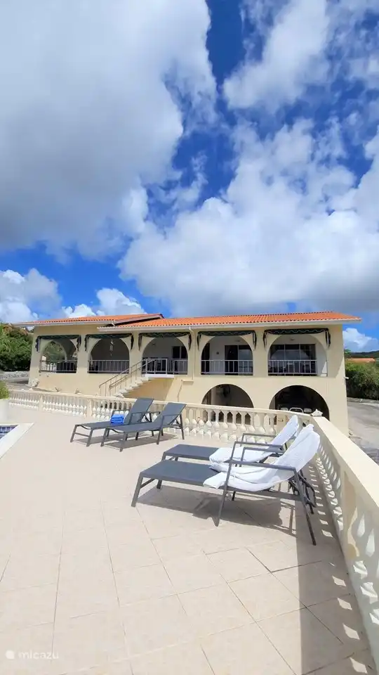 The sunbeds are ready!