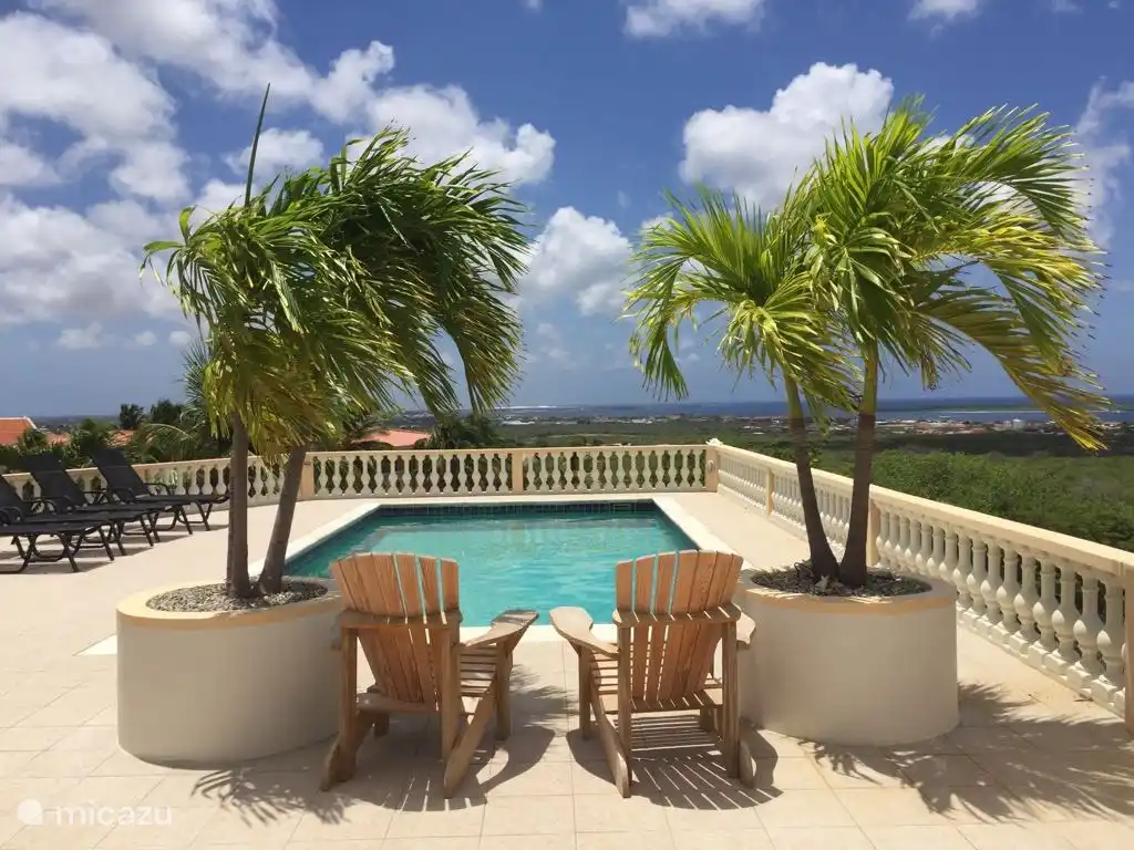 Under the palm trees, enjoy the view in the shade.