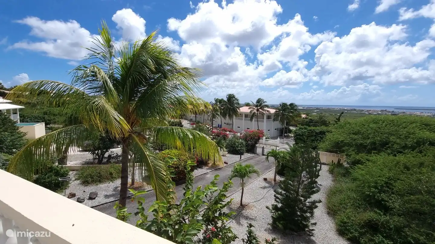 The garden is completely fenced and the access closed with an electric gate.