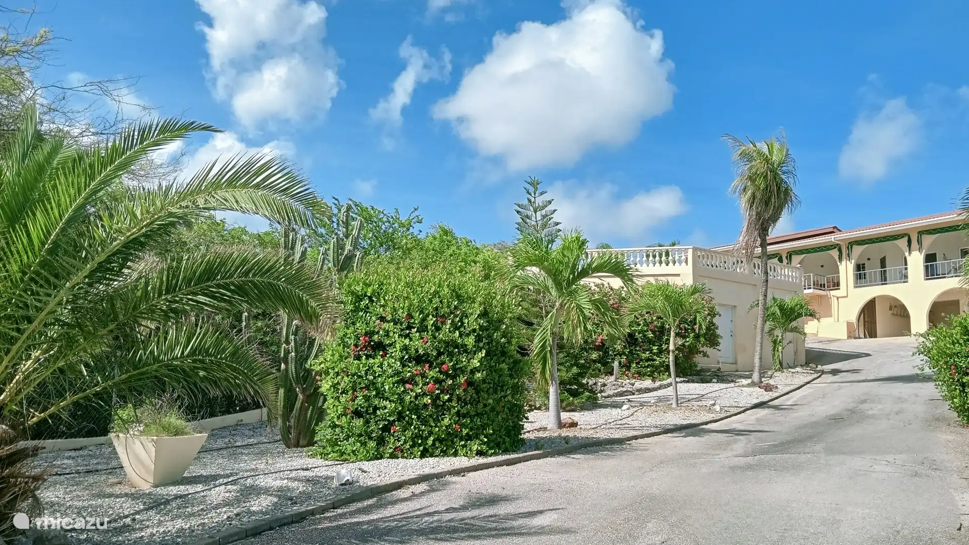 The garden with lots of greenery and dripp system