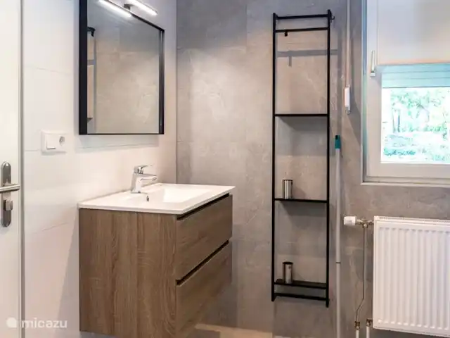 De Bosrand 55 huren in Nederland, Overijssel, Denekamp - vakantiehuis Badkamer