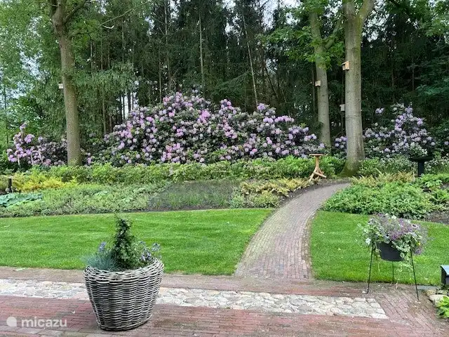De Bosrand 55 huren in Nederland, Overijssel, Denekamp - vakantiehuis Dit is je uitzicht in mei - '24