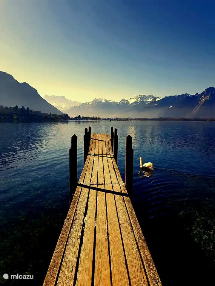 Meer van Geneve, Montreux kijkend richting Torgon