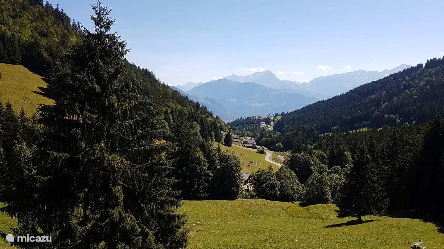 Directe omgeving met in de verte het appartement