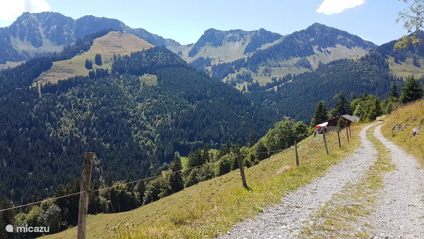 Enorm veel wandel- en fietspaden