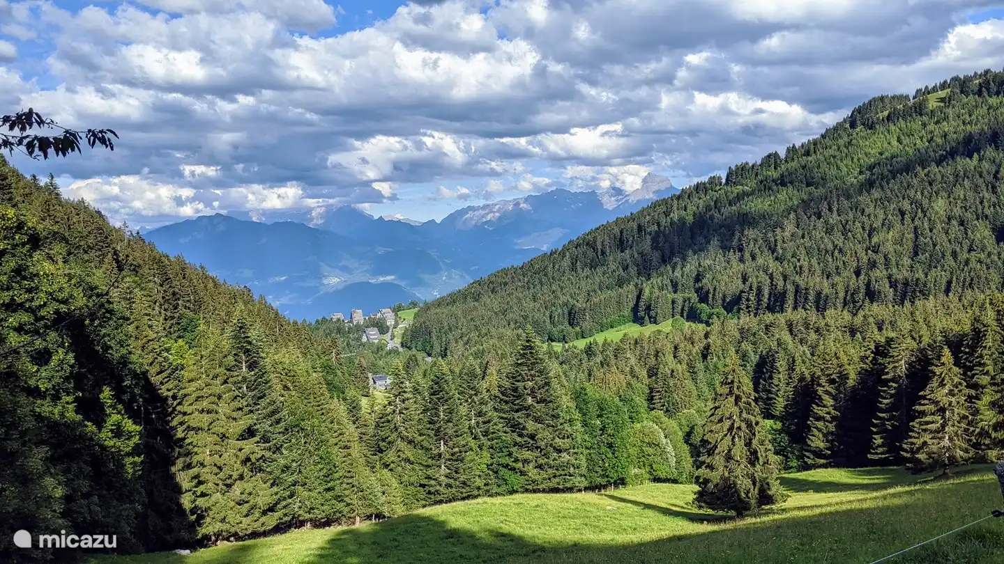 Appartement in de verte met het Rhonedal / Les Diablerets op de achtergrond