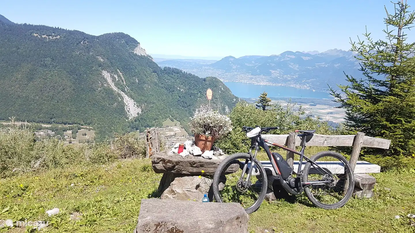 Met op de achtergrond het meer van Genève