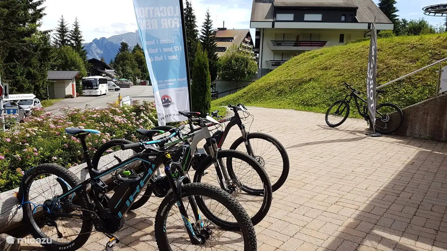 Electrische mountain bikes te huur