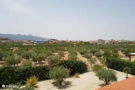 Vakantiehuis Spanje, Murcia, Macisvenda studio Relax studio Macisvenda, Alicante