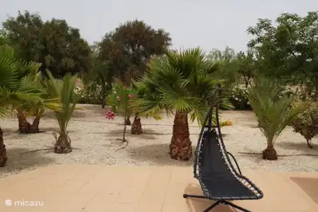 Vakantiehuis Spanje, Murcia, Macisvenda studio Relax studio Macisvenda, Alicante
