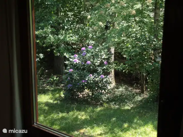 chalet in Nederland huren? – Lariks