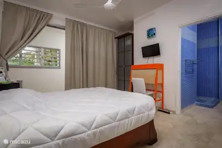 Vakantiehuis Bonaire, Bonaire, Sabadeco vakantiehuis Vila Joya