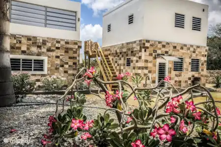 Vakantiehuis Bonaire, Bonaire, Sabadeco vakantiehuis Vila Joya Studio