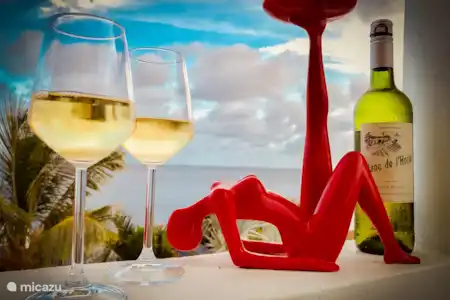 Vakantiehuis Bonaire, Bonaire, Sabadeco vakantiehuis Vila Joya