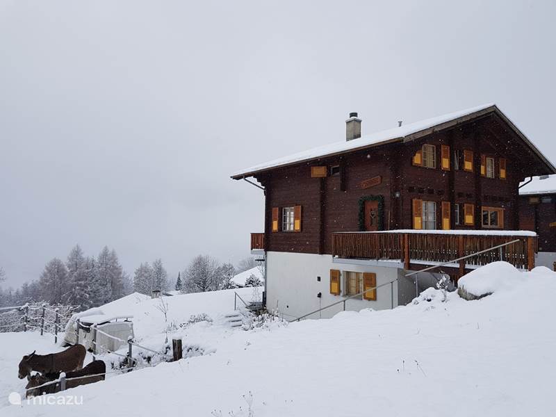 Casa vacacional Suiza, Valais, Fiesch Chalet Chalet Verrel (abajo)
