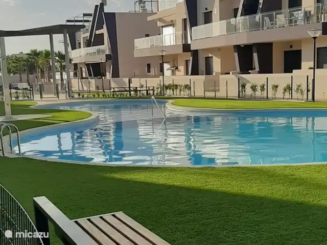 Casa lisa  | Espagne, Costa Blanca, Pilar de la Horadada - appartement Piscine avec gazon artificiel attenant et zone d’ombre pour les non-baigneurs.