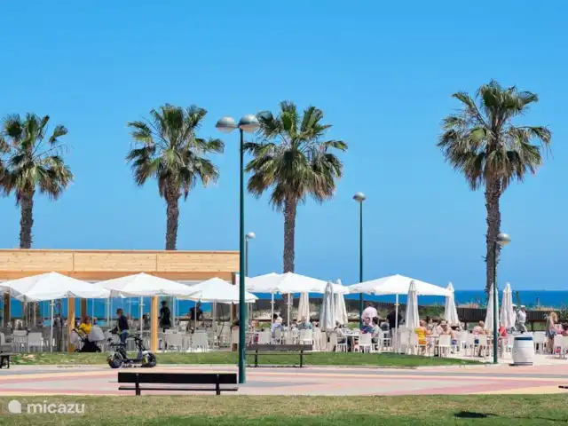 Casa lisa  | Espagne, Costa Blanca, Pilar de la Horadada - appartement Chiringuito pirato en bord de mer à 3 min à pied