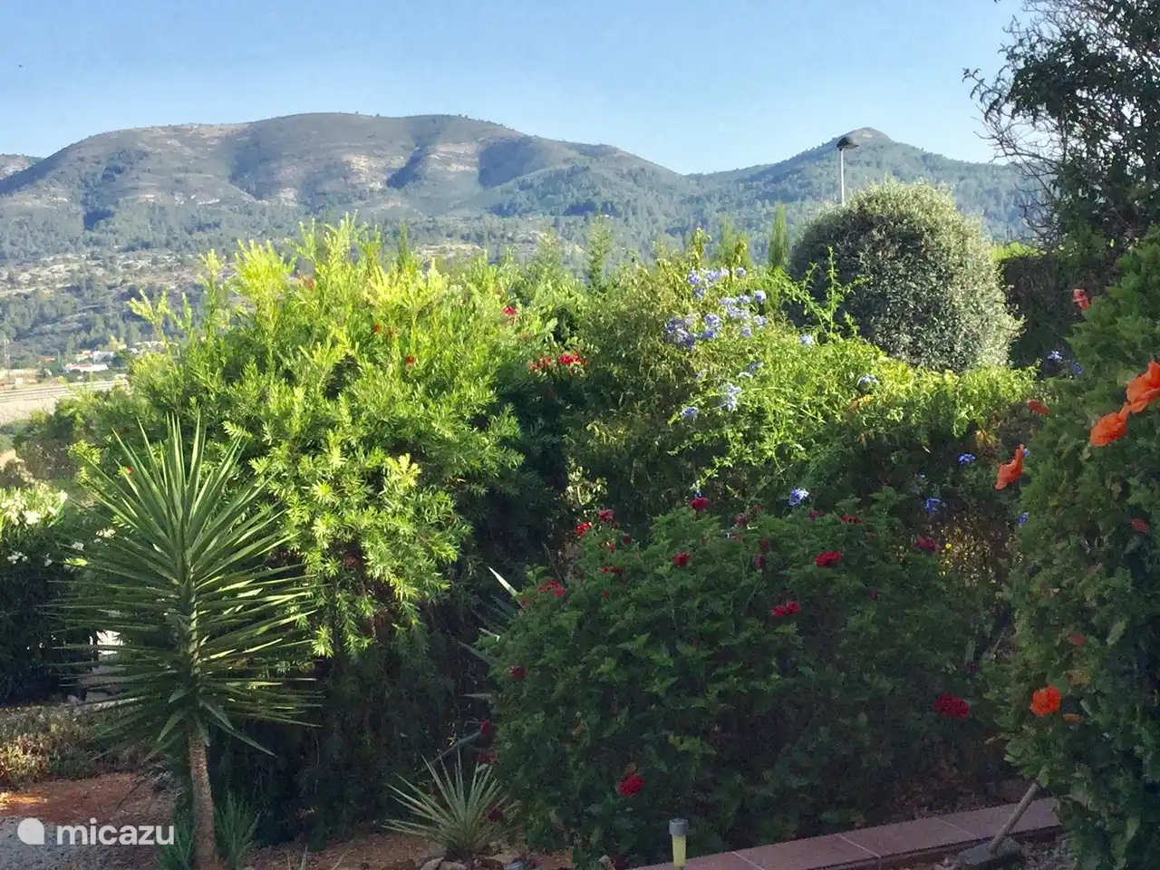 View from the living room