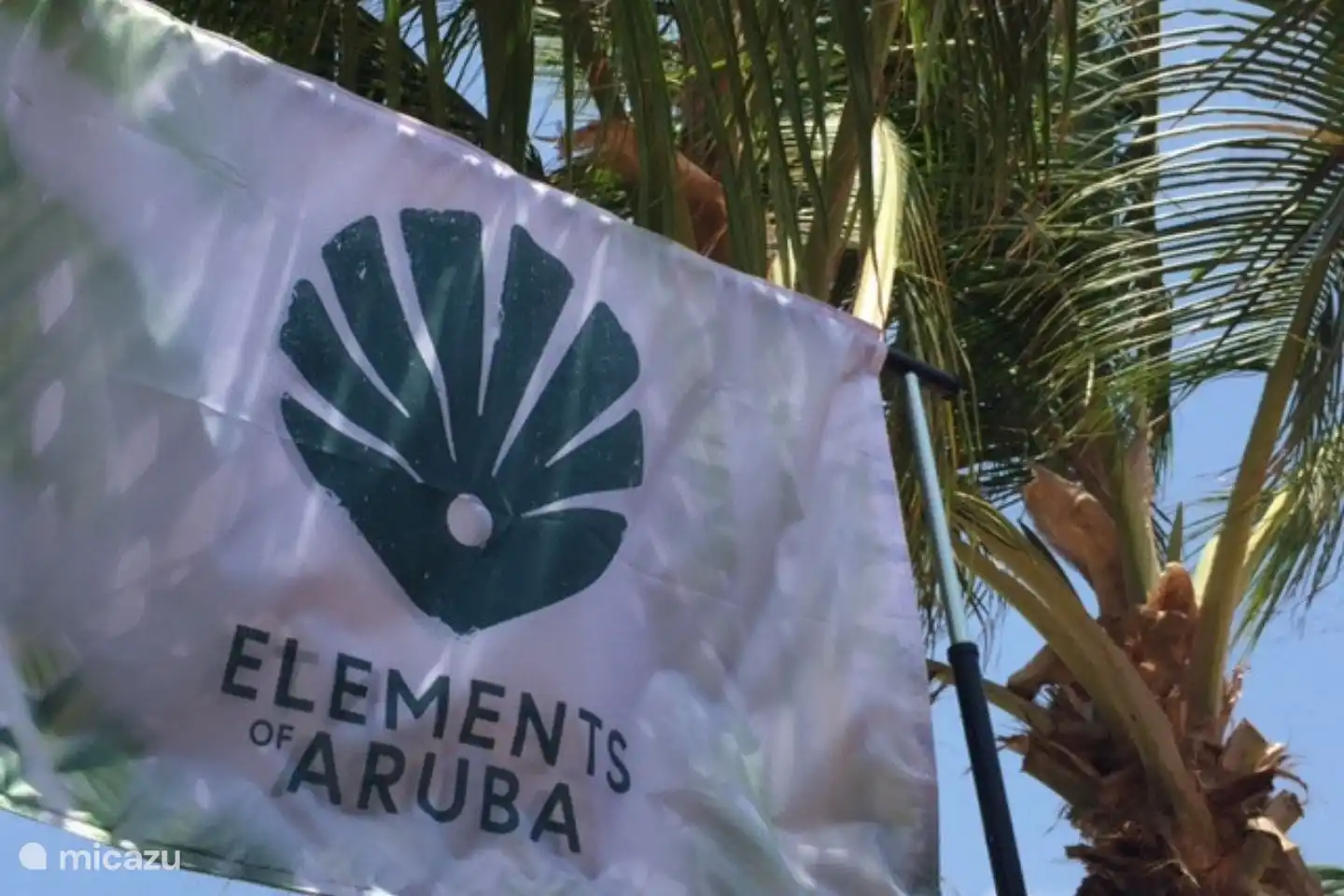 We are Elements of Aruba