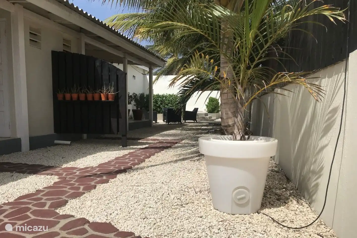 Entree naar de omheinde tuin met wuivende palmbomen en de lounge pool