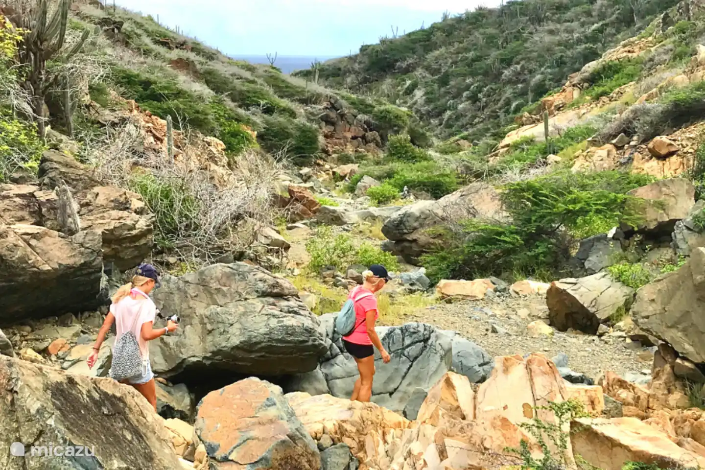 Onze gasten wandelen graag met ons in de prachtige natuur van Aruba; we brengen ze naar plaatsen waar ze nooit alleen zouden komen