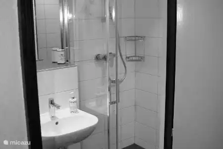 Vakantiehuis Frankrijk, Vogezen, Lembach-Pfaffenbronn vakantiehuis Huize Aukje