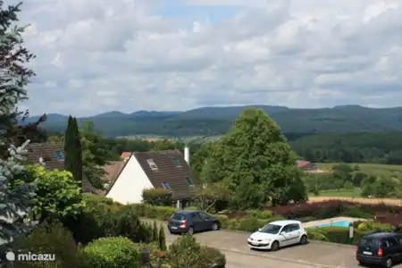 Vakantiehuis Frankrijk, Vogezen, Lembach-Pfaffenbronn vakantiehuis Huize Aukje
