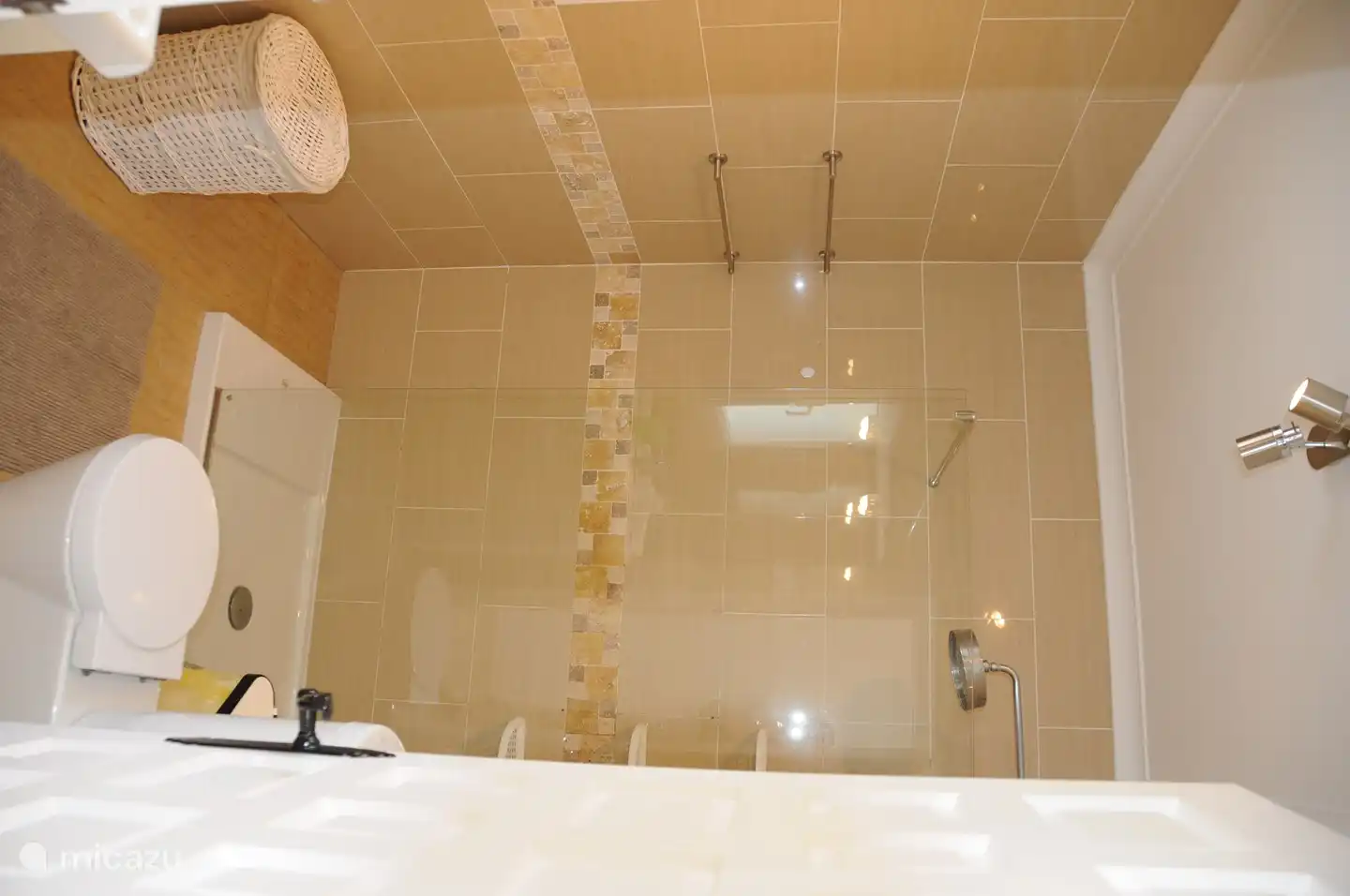 Salle de bain 2 avec douche et WC