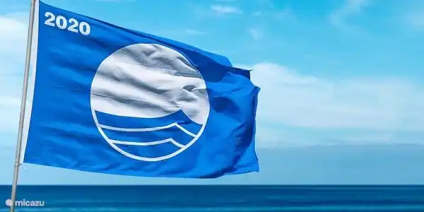 En 2020, Playa de las Higuericas a de nouveau reçu le label de qualité Bandera Azul (Pavillon Bleu)… fantastique pour tous ceux qui veulent profiter de cet endroit unique !