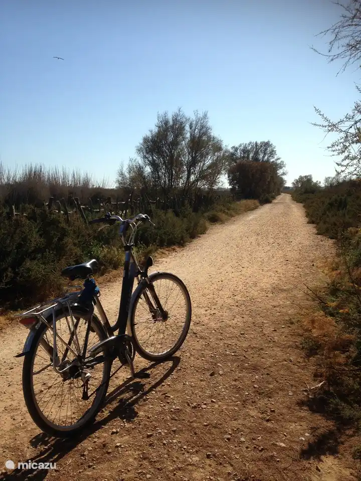 Belles pistes cyclables et sentiers pédestres le long de la côte