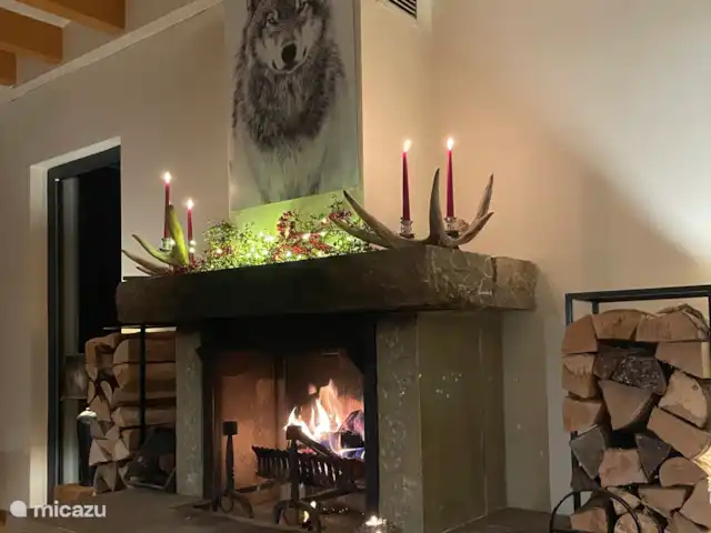 Waldhaus | Allemagne, Sauerland, Hallenberg - villa Prenez un verre au coin du feu après une promenade épuisante dans la neige